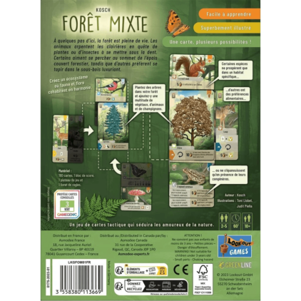 Forêt Mixte – Image 2