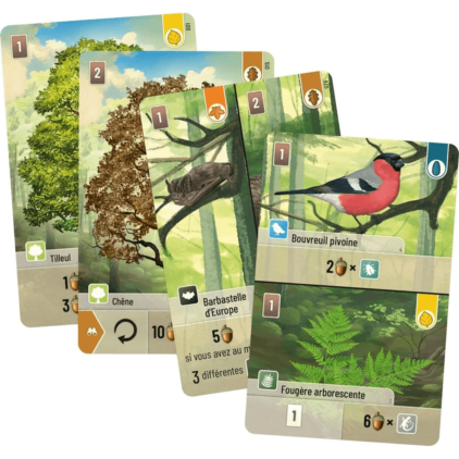 Forêt Mixte – Image 3