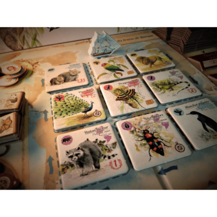 Sur Les Traces de Darwin – Image 3