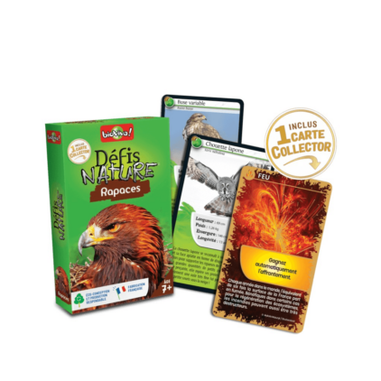 Défis Nature - Rapaces – Image 2