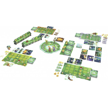 Living forest – Image 2