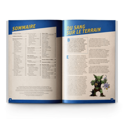 Blood Bowl : Death Zone – Image 2
