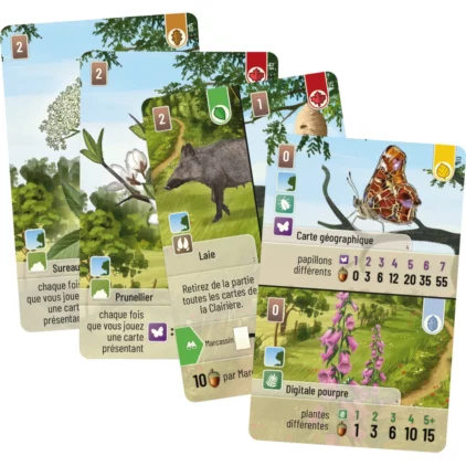 Forêt Mixte : Woodland Edge – Image 2