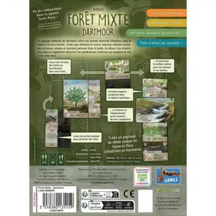 Forêt Mixte : Dartmoor – Image 3