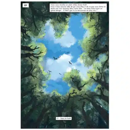 La Cité d'Aria - Le Couronnement – Image 2