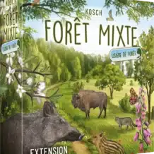 Forêt Mixte - Lisière de forêt